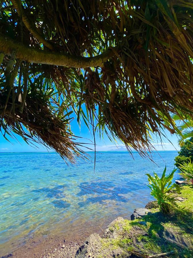 O'Coco Bungalow- Breathtaking Waterfront Views, Endless Memories Paea Екстер'єр фото