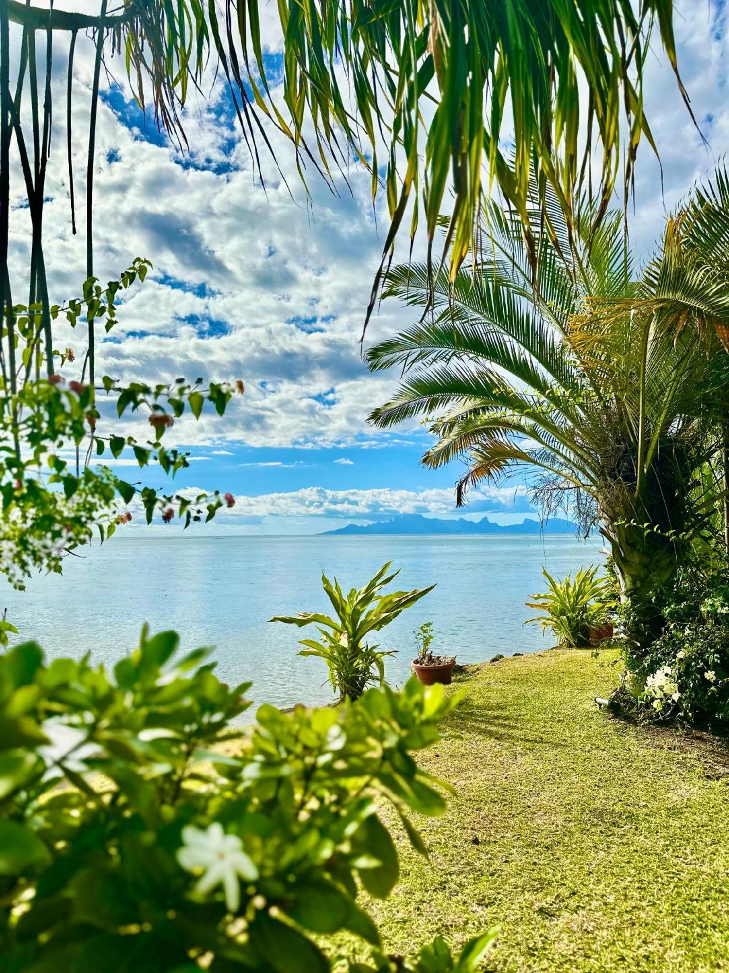 O'Coco Bungalow- Breathtaking Waterfront Views, Endless Memories Paea Екстер'єр фото