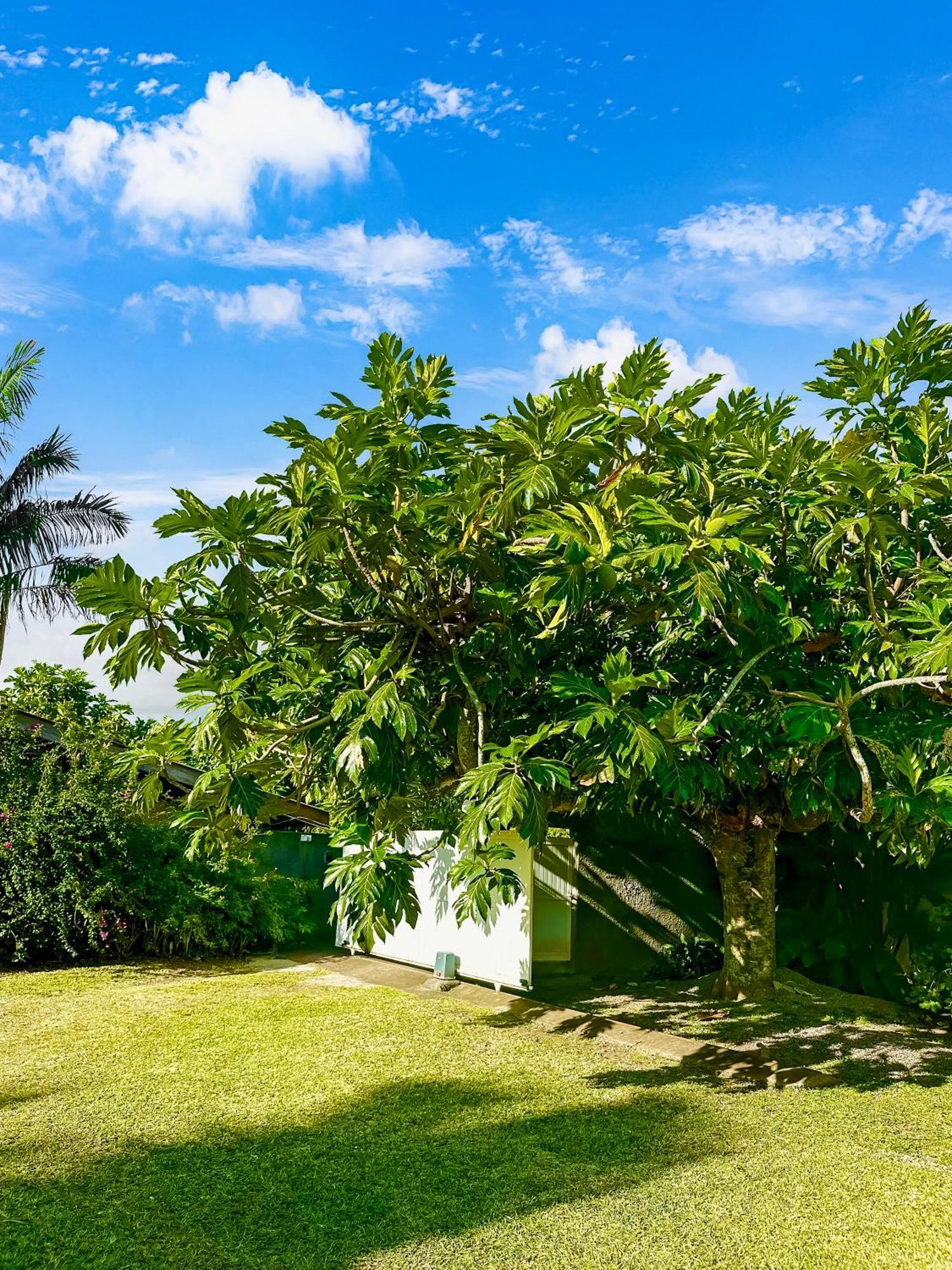 O'Coco Bungalow- Breathtaking Waterfront Views, Endless Memories Paea Екстер'єр фото